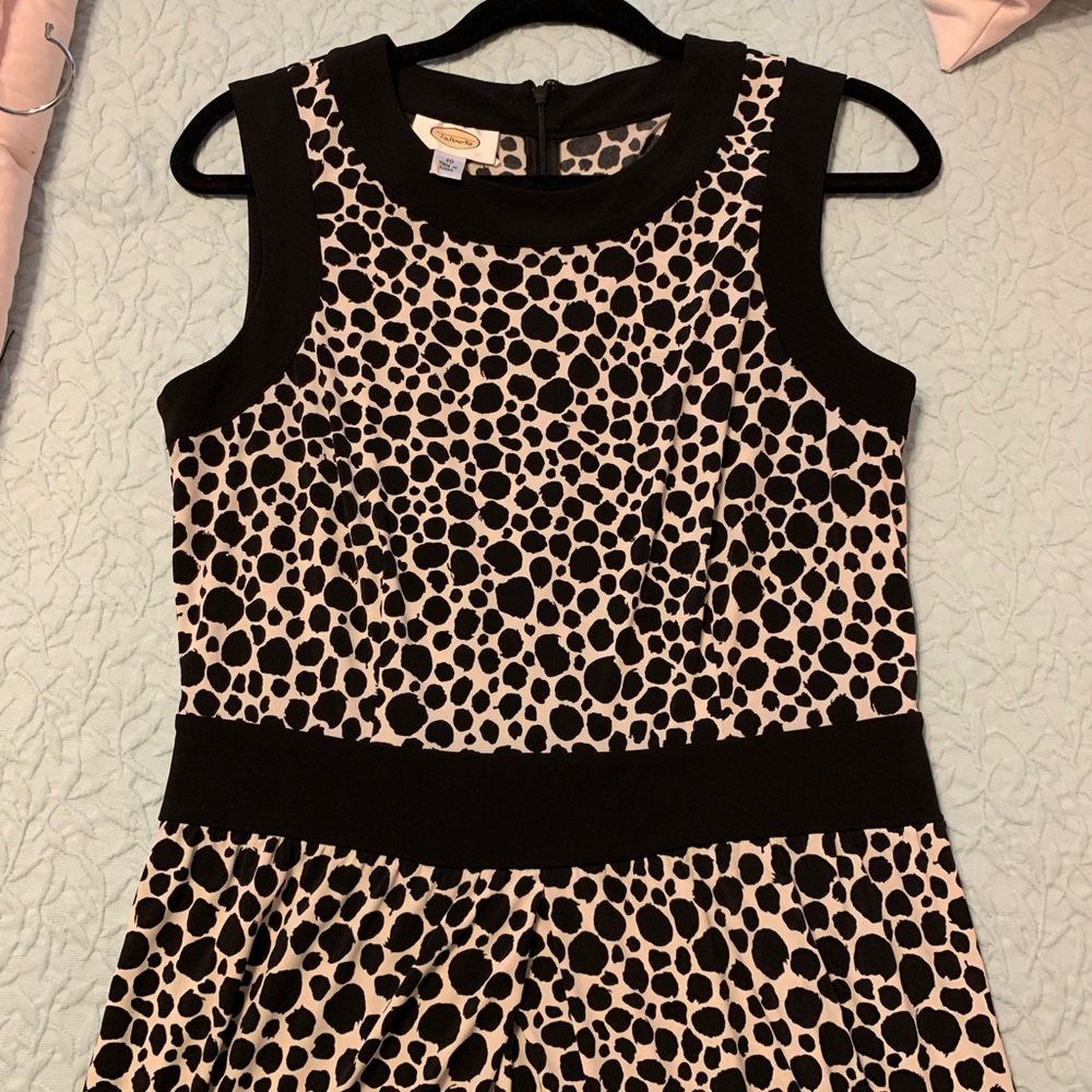 Stylish Black and Cream Dress